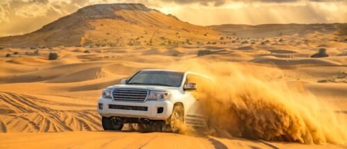 Evening Desert Safari