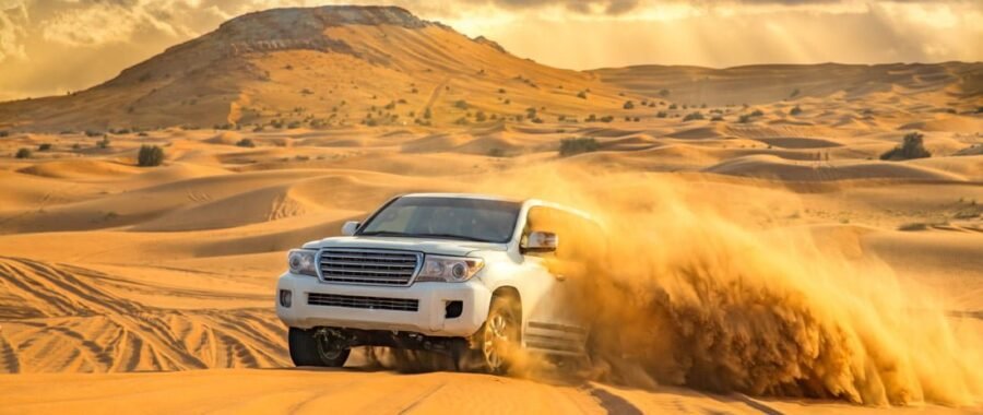 Evening Desert Safari