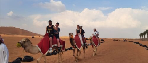 Camel Safari in Dubai