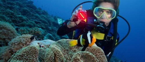 Scuba Diving Dubai